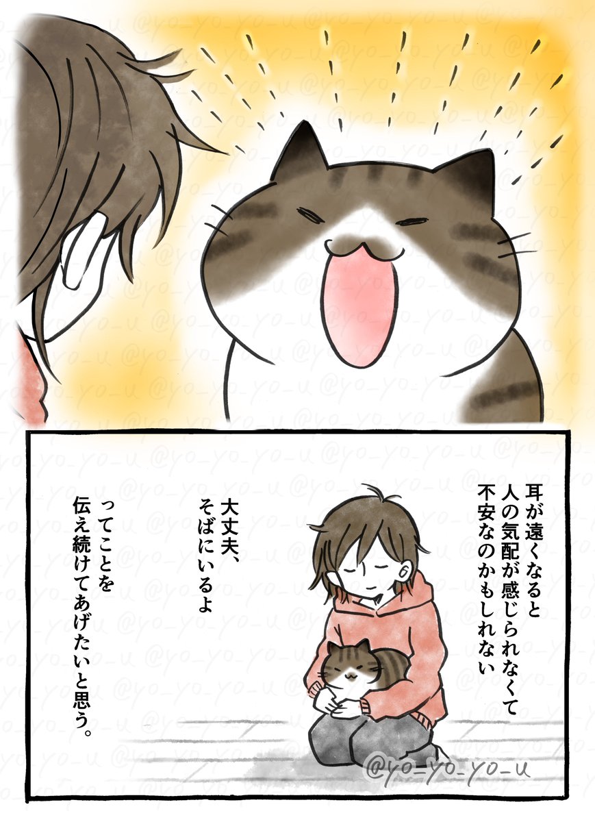 老猫が大声で鳴く理由(2/2)
#第2回猫コミ新人賞
#漫画が読めるハッシュタグ 