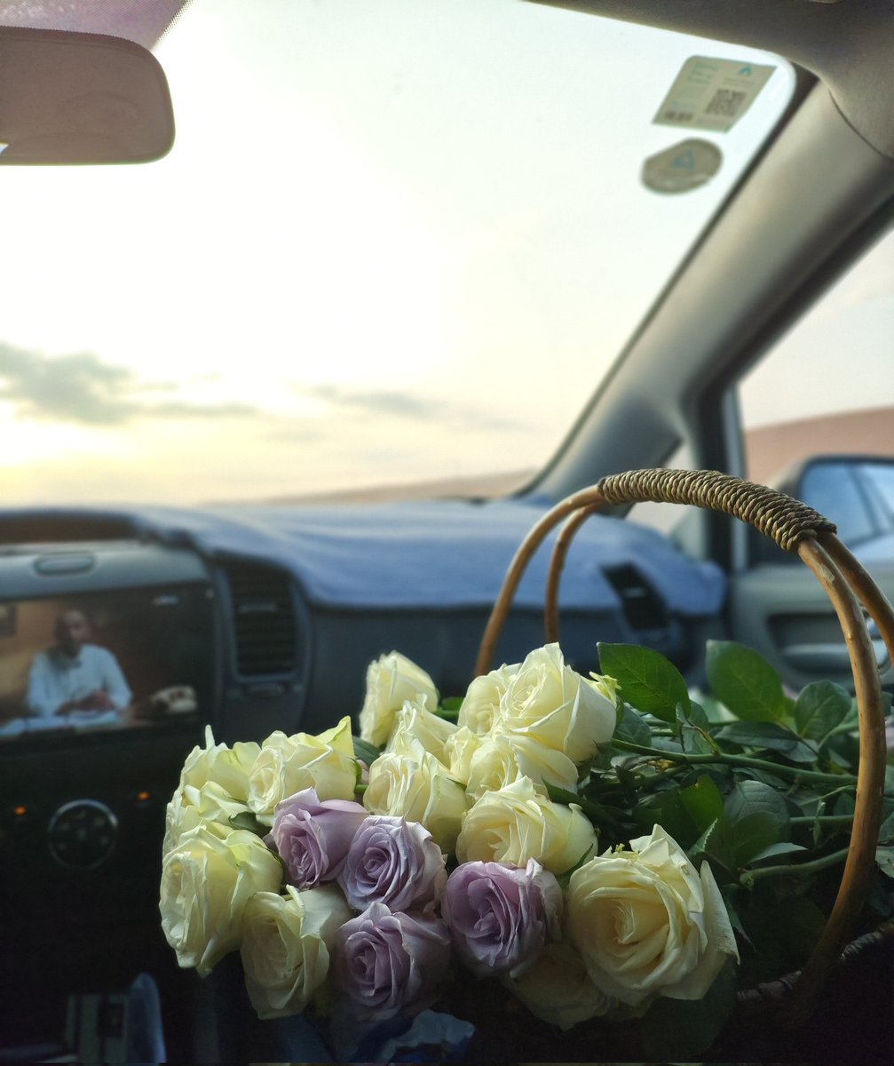 فَاطِمه يُوسف. tweet media