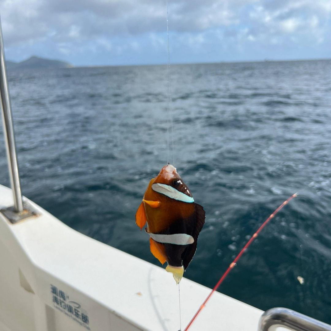 Marc6350's tweet photo. この瞬間、あなたは自然との親密なつながりを感じて、水域の中の生物と出会った。 あなたは魚の独特なところを鑑賞して、水中で自由に踊ることを感じます。 あなたは自分の忍耐力と技術を誇り、同時にこのかわいい魚に敬意を表します。

#风景
#写真
#海
#拍摄
#釣り
#釣果
#釣り好き
#釣り女子 https://t.co/rNCKU2t0xb