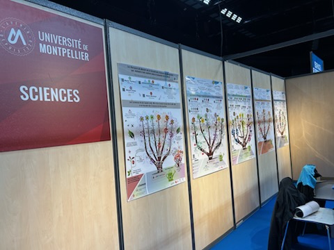 Fac des Sciences UM tweet media