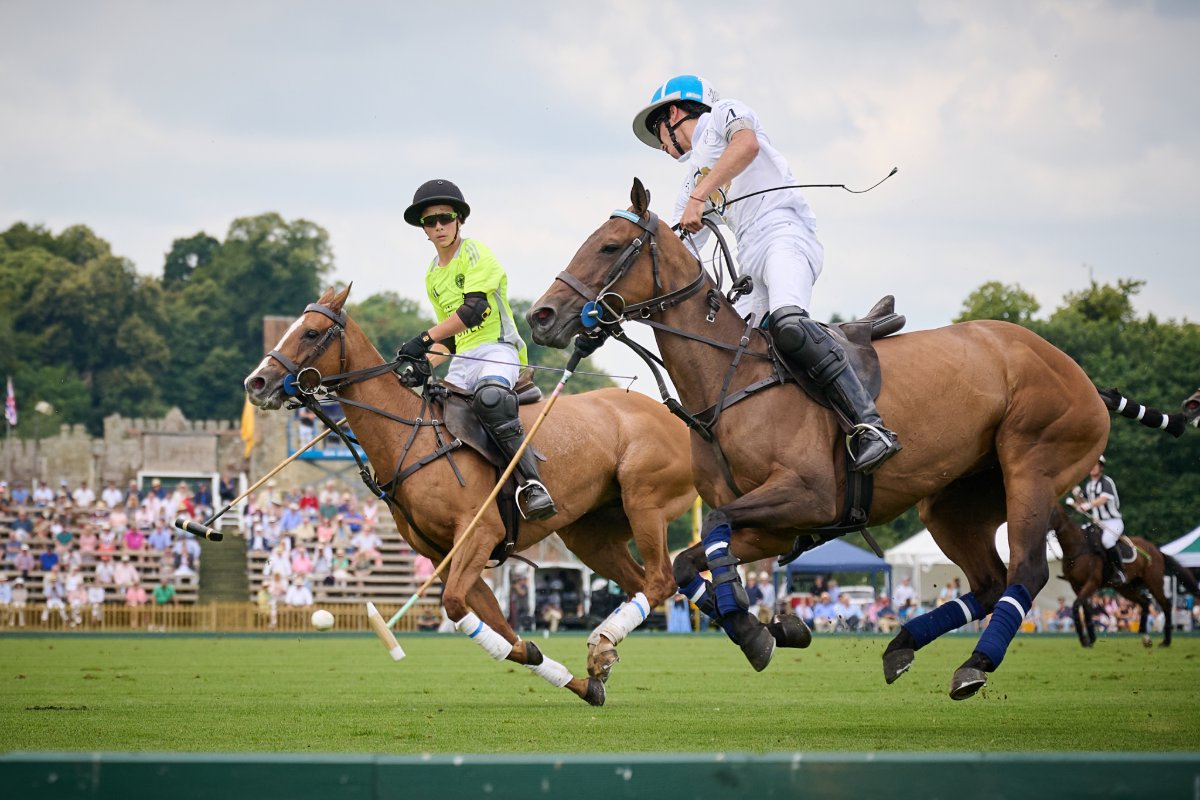 Cowdray Park Polo Club tweet media
