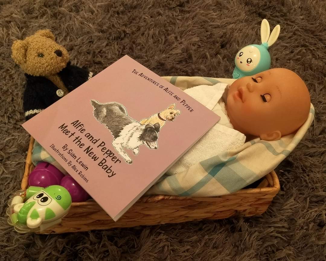 SianLewin1's tweet photo. Alfie & Pepper meet the #NewBaby is the 2nd story in the series.
Alfie knows very little about babies, but Pepper is on hand to help him πΎπΆ
Nappies, babies & prams are all a new vocabulary to Alfie, but he soon learns!
https://t.co/BntkTuXr0X
#childrensbooks #dogsinbooks https://t.co/xP6DROylsa