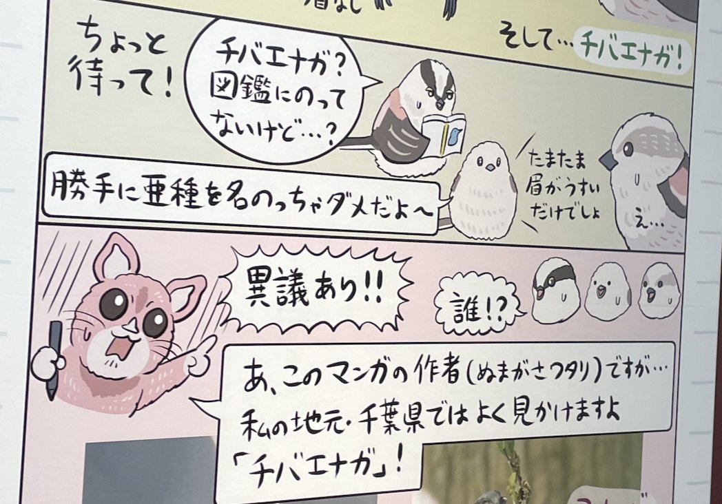 #鳥展 でチバエナガの話になって急にしゃしゃり出てくる作者を、君はもう見届けたか 