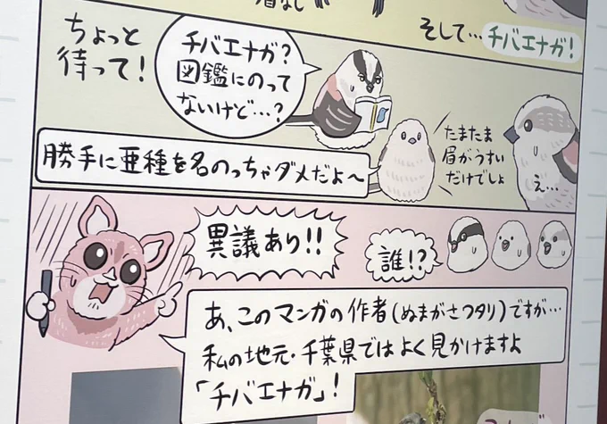 #鳥展 でチバエナガの話になって急にしゃしゃり出てくる作者を、君はもう見届けたか 
