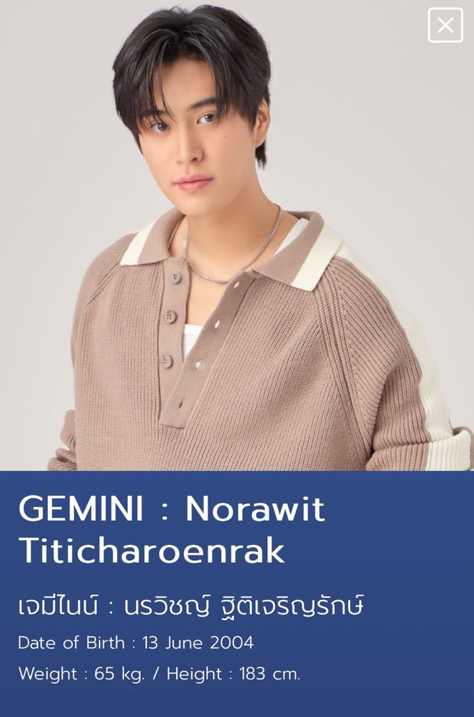 Gemini. tweet media