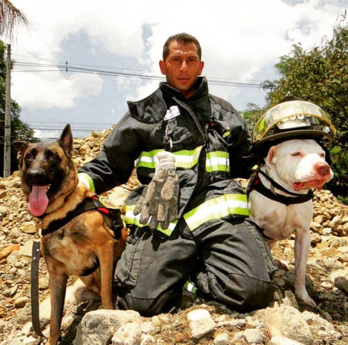 Andrés Manrique G. tweet media