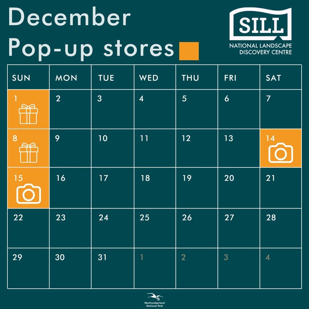 This month we have some more pop-up stores to help you out with your Christmas shopping. Whether you are looking for stocking fillers or going big on a special present, you can find what you need at The Sill.