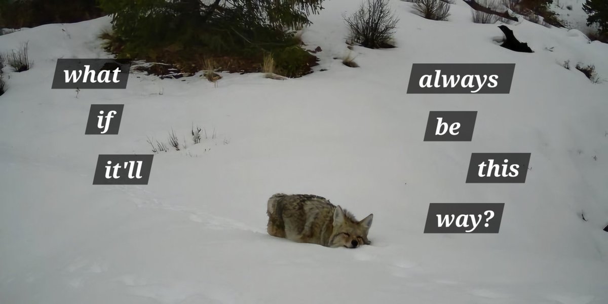 Canine_Poetry's tweet photo. https://t.co/oSRQhh9QBk