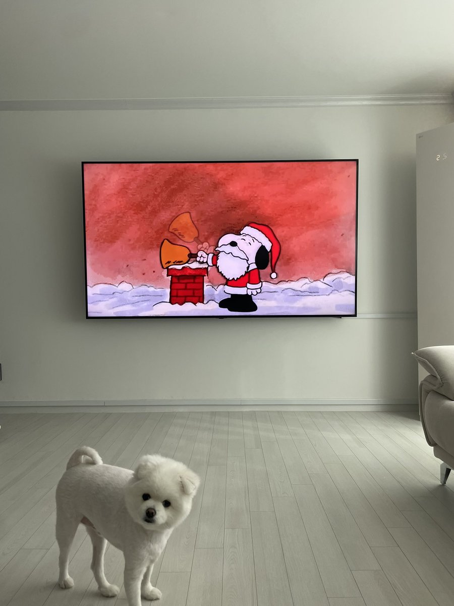 야 쟤 또 스누피 캐롤 듣는다