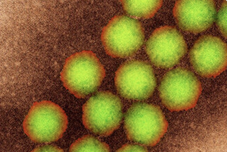 🚨🇪🇺🚱🚾 Des détections de #poliovirus dans les eaux usées de l'UE depuis septembre, nécessitent une surveillance continue et rigoureuse 
L’ECDC exhorte à continuer de mettre en œuvre une vaccination rigoureuse

ow.ly/LRXL50UinQP