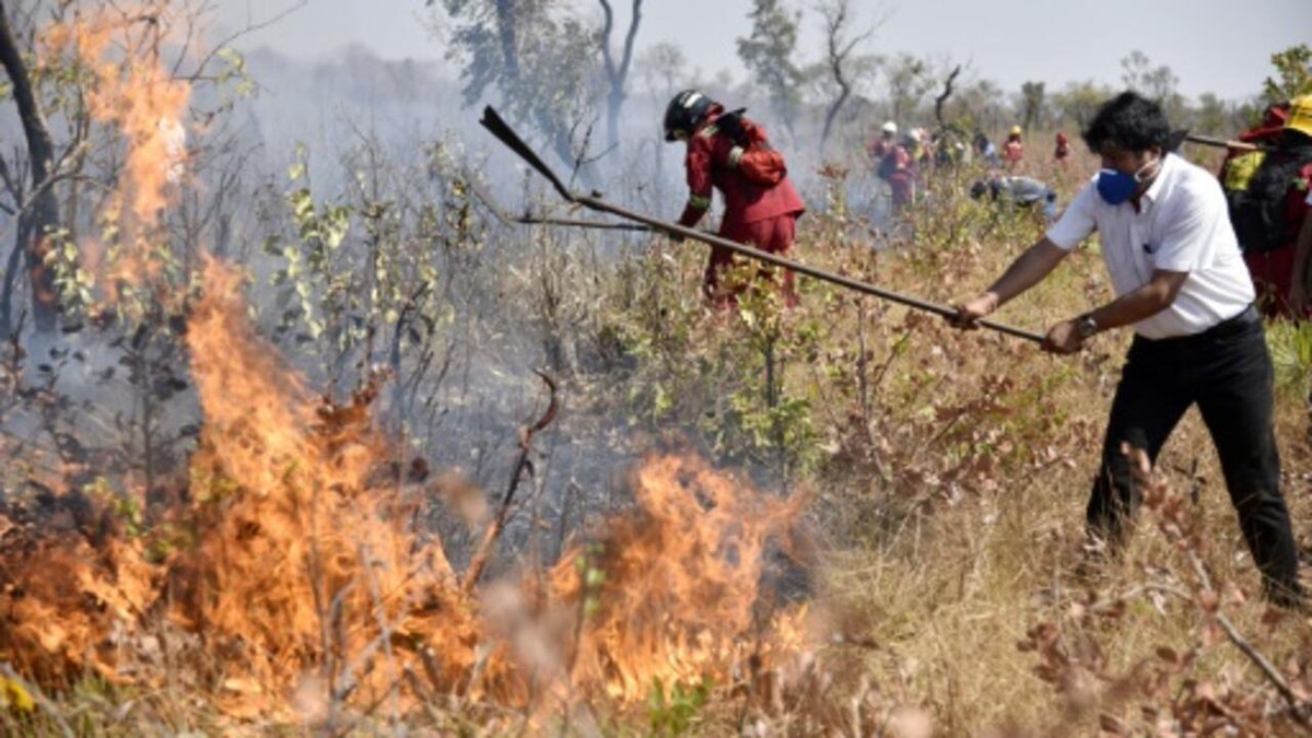 Catastrophe écologique en cours en Bolivie: les lois «incendiaires» mises en cause rfi.my/BCQj.x