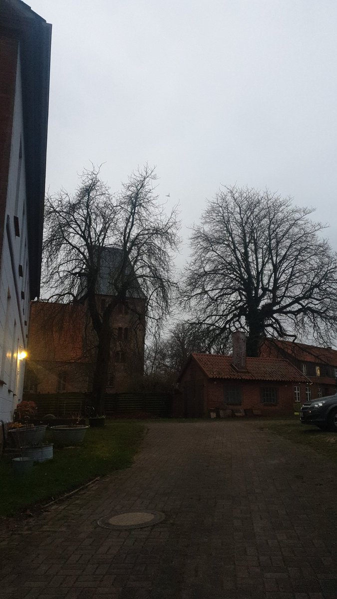 Ms.hella tweet media