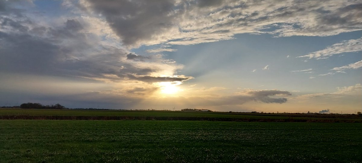 Ms.hella tweet media