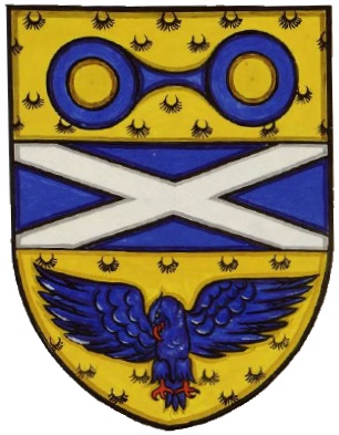 Happy St Andrew's Day! This year we are repeating by popular demand the arms recorded in 1962 by the Scottish National Committee of Ophthalmic Opticians. Usually nowadays the saltire is only allowed, as here, for a national organization. Quite a spectacle...