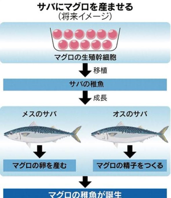 (ちなみに、うちの作品はどれだけ外見が異形であったとしても。ヒロインは基本的に孕むモノとしております。

 ふしぎなちからで!) 