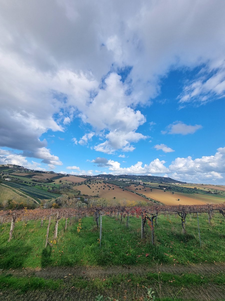 Stormunitedforc's tweet image. Duck Ragù, Montepulciano DOCG red wine and Nature. 

Locked In 🔒 

#Italy #FoodieBeauty #relaxsehat