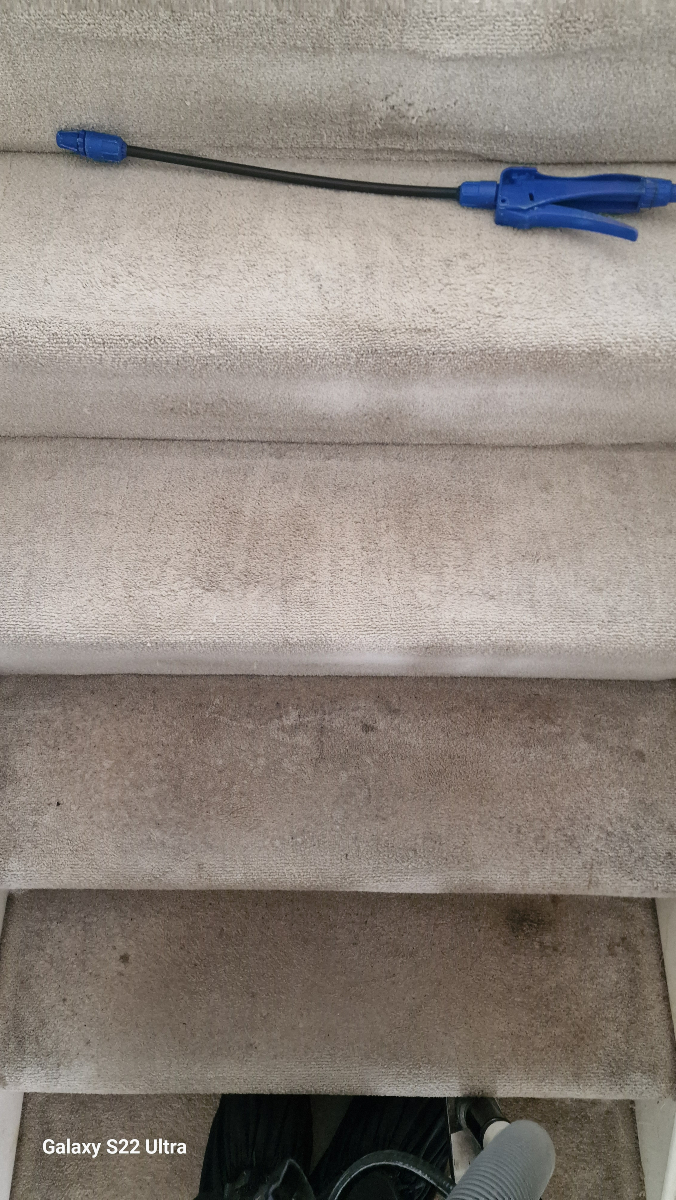 dmcarpetclean's tweet image. A clean carpet can change the whole room! Cardiff, get that fresh start today. 🏡💧 #DMCarpetCare #HomeRefresh #CardiffCommunity