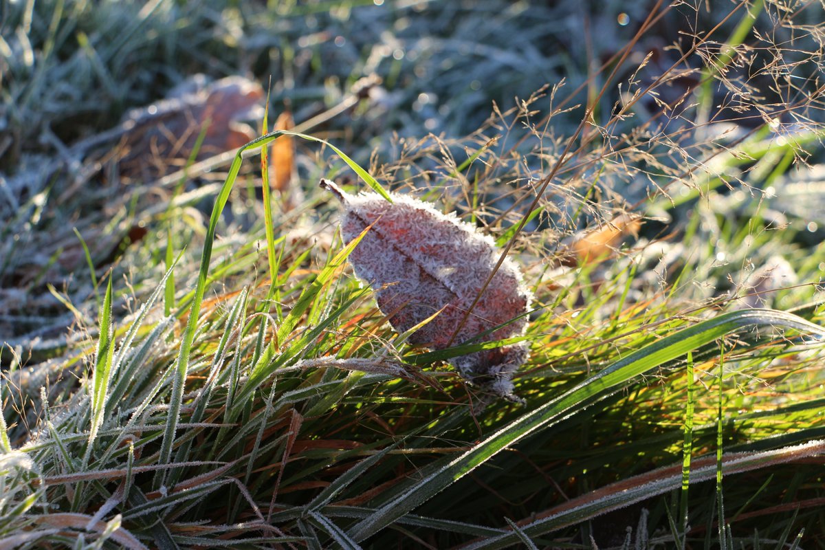 Achtsamkeit: Einatmen, Ausatmen und Lächeln. #NatureTherapy #NaturePhotography #Mindfulness #tastymind #happyness #glueck #achtsamkeit #meditation #bewusstleben #Philosophy  (tastymindset.blogspot.com)