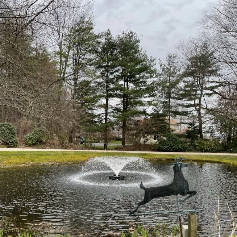 thepondandlake's tweet image. The pond is looking fresh and healthy  👍

#PondAerator #FallDay #PondCare #HealthyPond #FallVibes