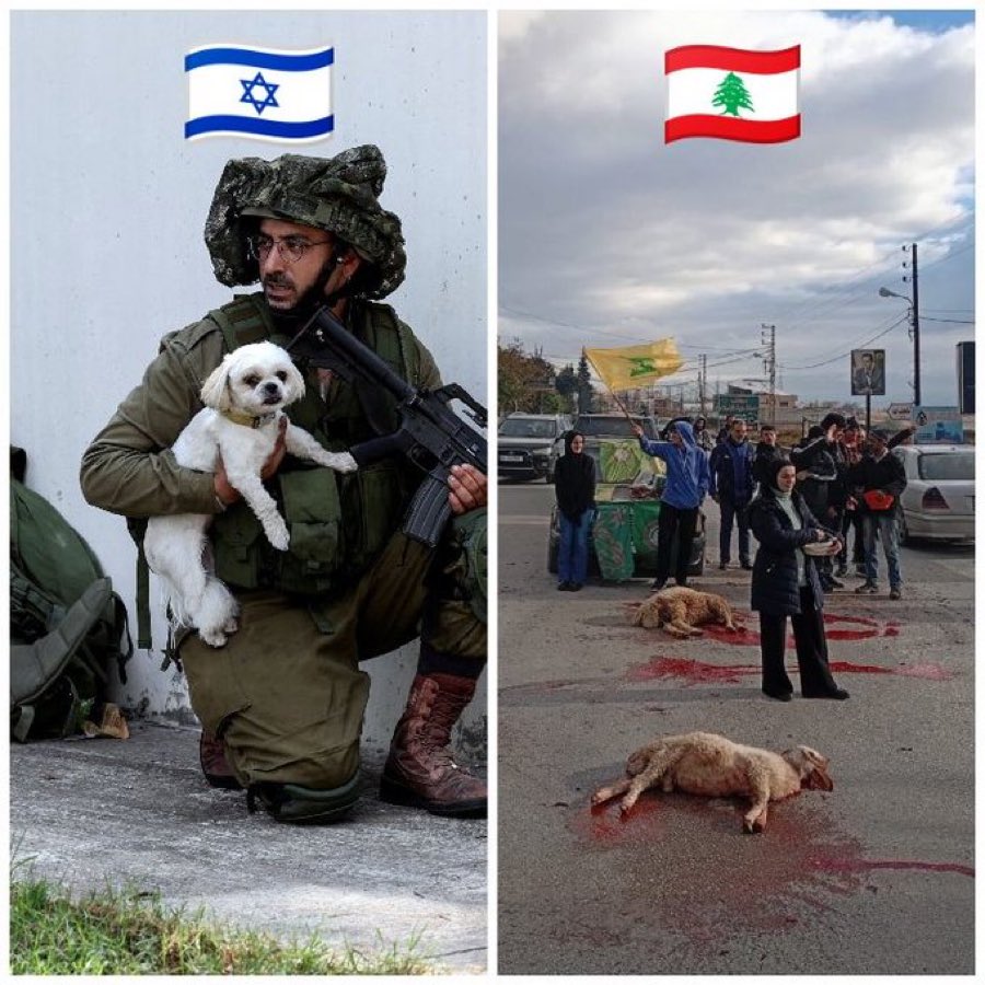 GabyLob's tweet image. Nosotros / Ellos