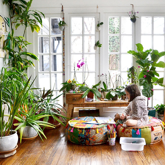 PratibhaPriyad3's tweet photo. Bring these lucky plants into your home and let their positive energy transform your space! Which one is your favorite? 🌱 #PositiveVibes #GoodLuckPlants
End of thread https://t.co/MEigNhsKoq
