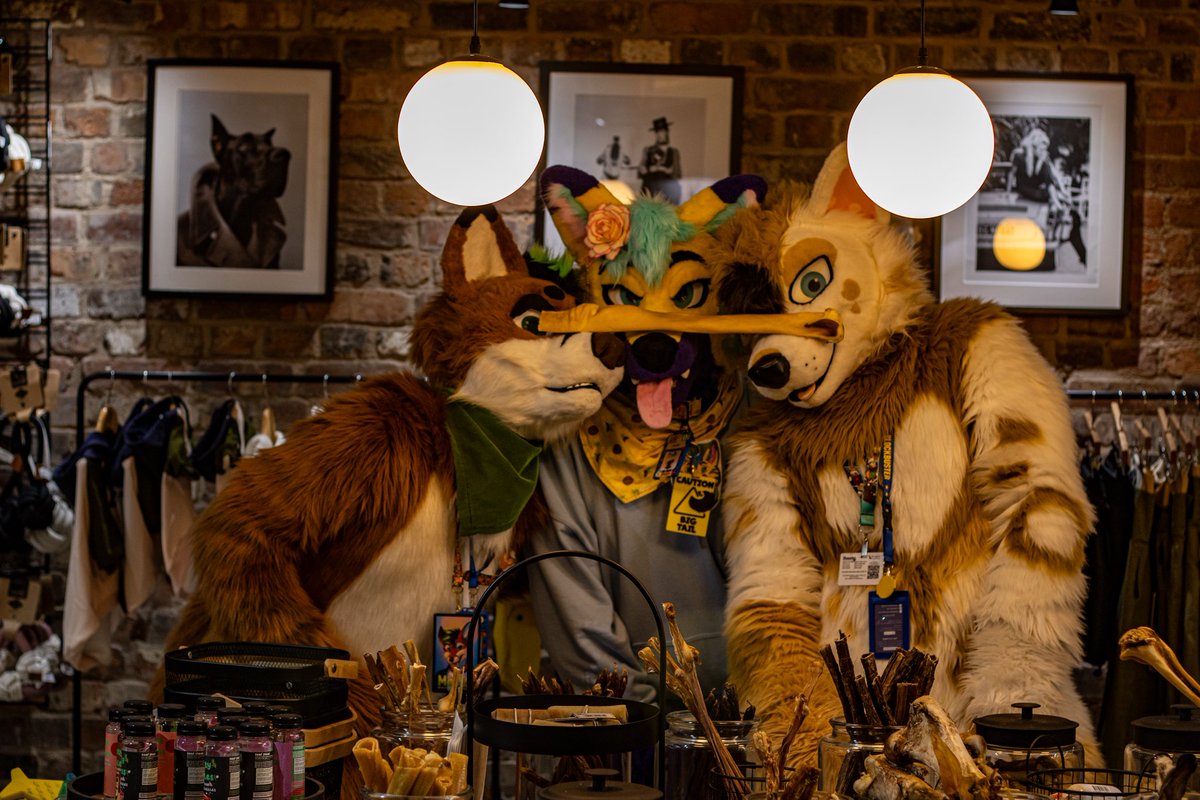🌸💛Blazen💜🌸 🔜 CFz#787 (@blazentigerfolf) on Twitter photo Who doesn’t love a cheeky trip to the Pet Shop? Look, we even balanced a treat perfectly on our snouts 😂😅
📸: <a href="/Derg_photos/">Bass_Photography</a>
🪡: <a href="/HouseOfCardsFur/">♠️ House Of Cards Fursuits ♠️</a> Who doesn’t love a cheeky trip to the Pet Shop? Look, we even balanced a treat perfectly on our snouts 😂😅
📸: <a href="/Derg_photos/">Bass_Photography</a>
🪡: <a href="/HouseOfCardsFur/">♠️ House Of Cards Fursuits ♠️</a>