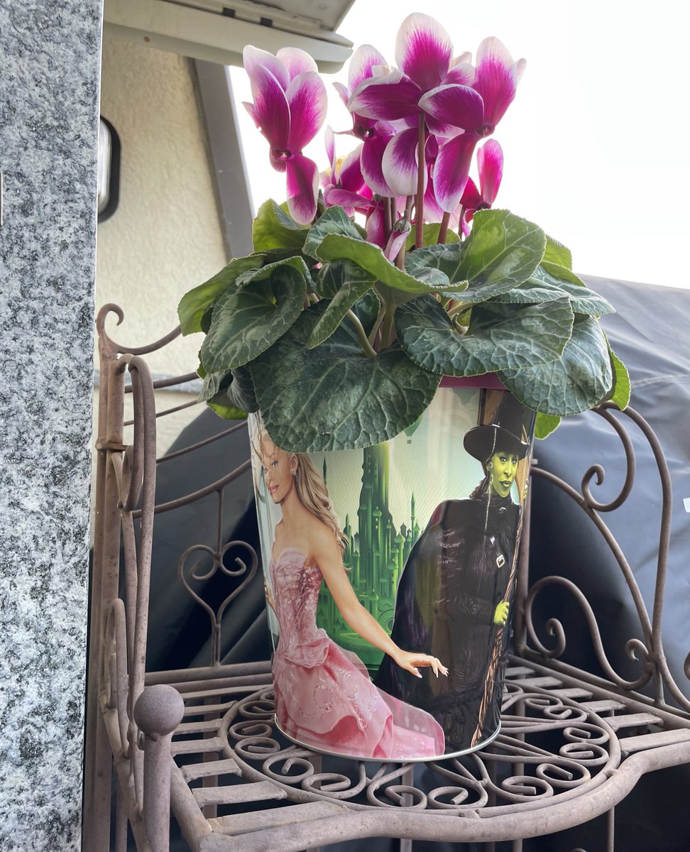 My mom litterally used my wicked pop corn bucket as a vase for flowers 😭💀