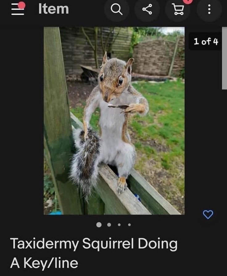 raisinchoirgirl's tweet image. 