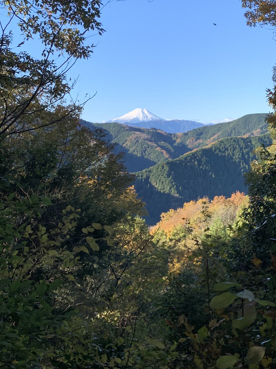 PsSeeker's tweet photo. The North Takao Ridge is relatively tougher than the main course between Mt. Takao and Mt. Jimba, making it suitable for intermediate hikers. Despite the challenge, I enjoyed a peaceful hike with picturesque views of Mt. Fuji and vibrant autumn foliage.
#高尾山　#相模湖 https://t.co/8cz3YGCwe3