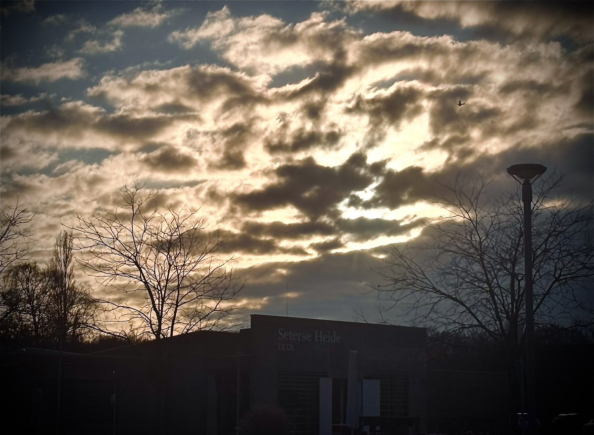 maickel1979's tweet image. Gearriveerd bij het 
crematorium voor het 
afscheid van Eefje 🖤

Dag lieve @lunaenmaus 
🦋
#afscheid #uitvaart #Eef 
#Eefje #sad #crematie