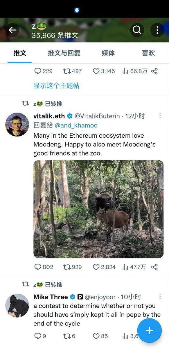 xiaqq9527 tweet media