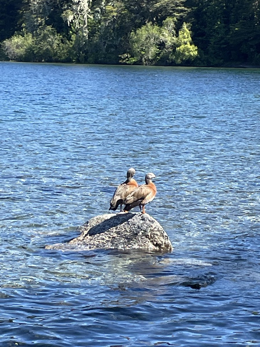 Summer is round the corner!