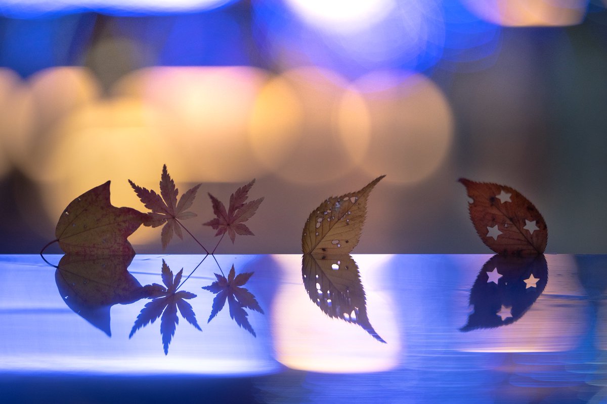 luna_doubleluna's tweet photo. イルミネーション✨と紅葉🍁

富久先生の教室とっても楽しかった！
思いつく先生すごいな🪄 https://t.co/EcgHMjzuqT