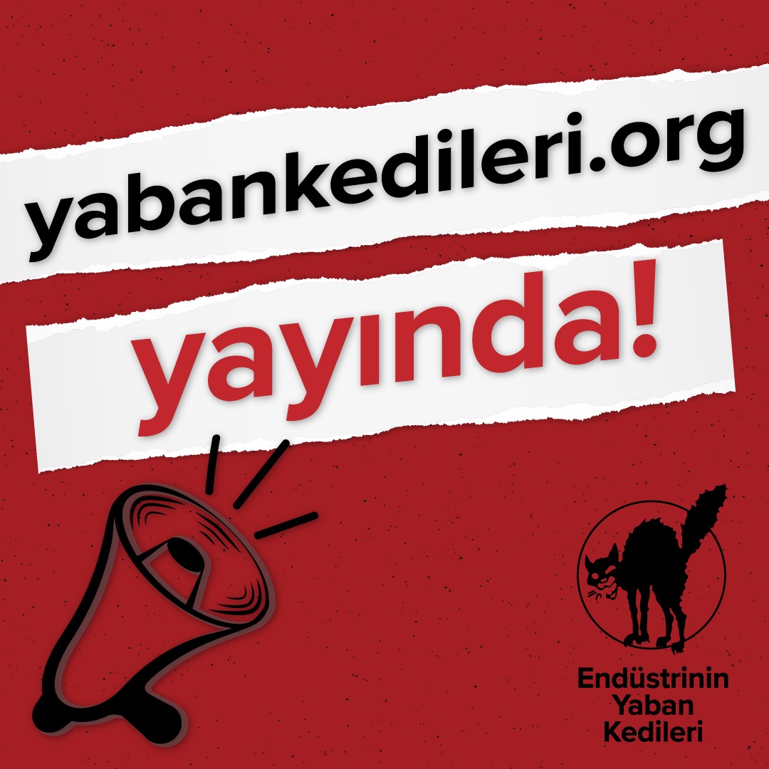 Çeşitli şehir ve sektörlerde gerçekleşen fiili grevlerin sektör ve bölge bazında haritalandırılacağı, belli başlı grevlerle ilgili ayrıntılı raporların ve değerlendirmelerin yer alacağı internet sitemiz yayında.

yabankedileri.org