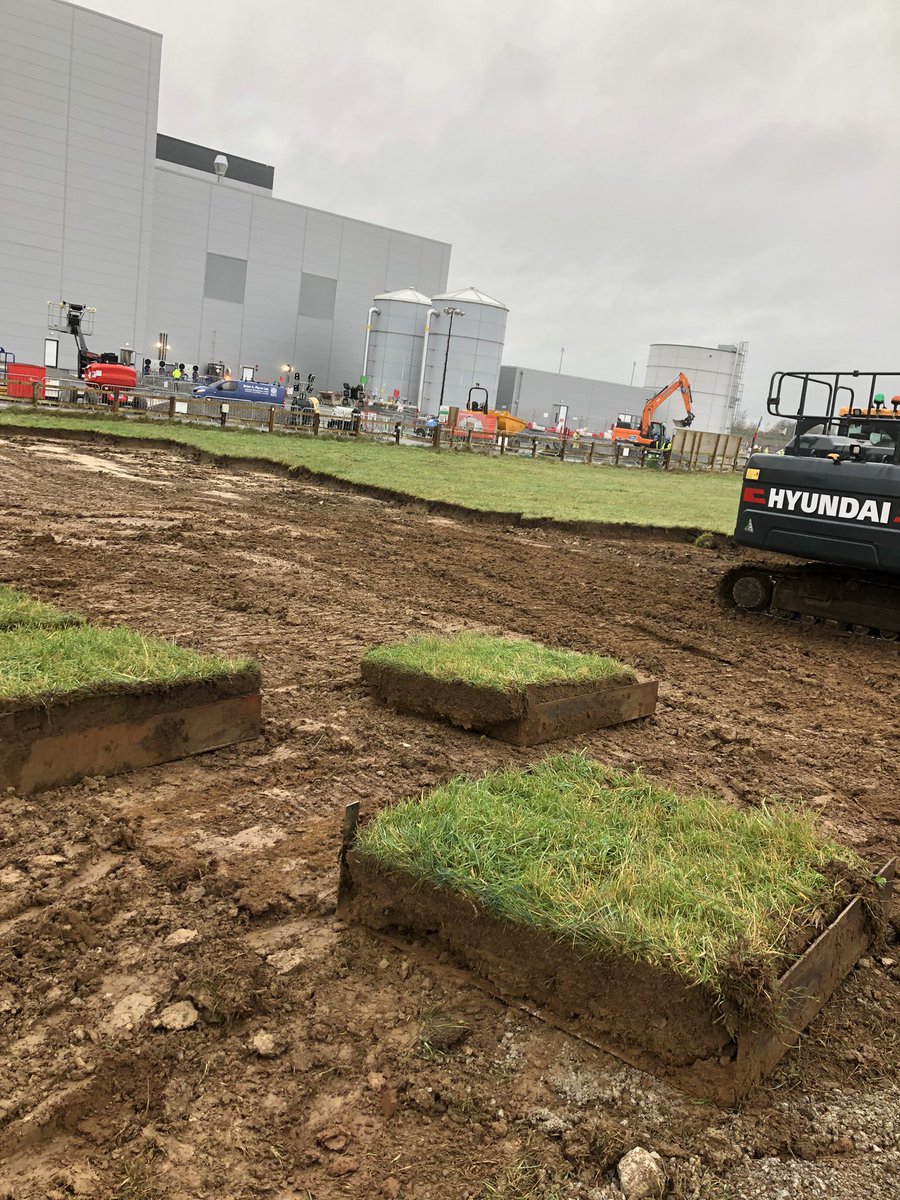IjlalHaidar5's tweet image. Busy day in Limerick.Carried out sod translocation using heavy machinery for a grassland restoration research experiment. A step toward conserving grassland ecosystems. 🌱 #GrasslandRestoration #SodTranslocation #ResearchInAction