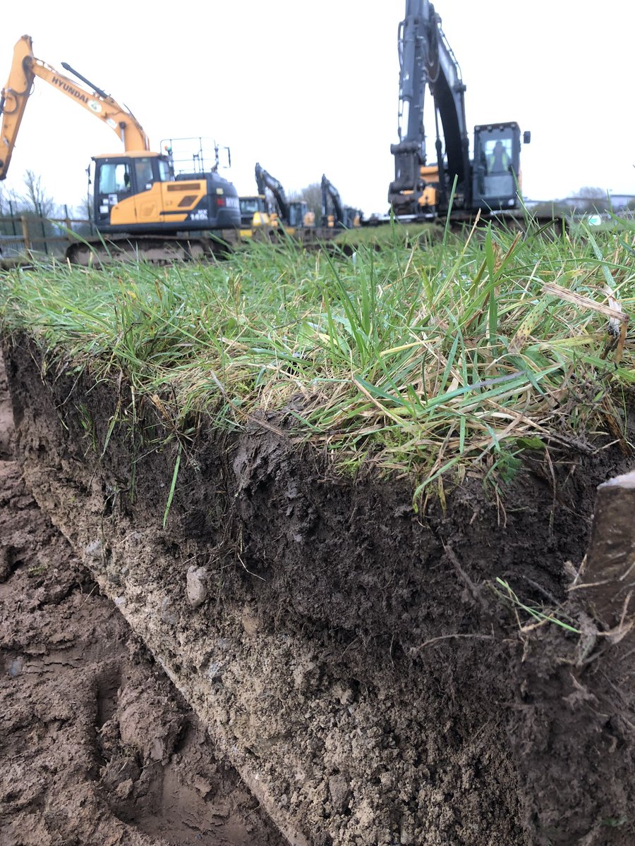IjlalHaidar5's tweet image. Busy day in Limerick.Carried out sod translocation using heavy machinery for a grassland restoration research experiment. A step toward conserving grassland ecosystems. 🌱 #GrasslandRestoration #SodTranslocation #ResearchInAction