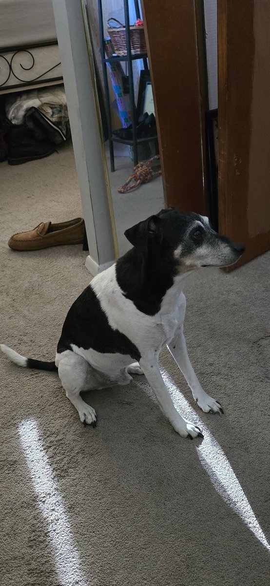 WHY DOES HE ALWAYS LOOK LIKE THIS