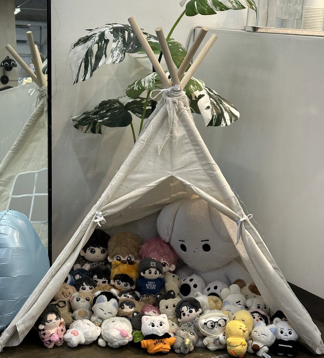 dearsimjae's tweet photo. 4년 축하해요 🤍🍀
약속 오래오래 사랑할거야 ◡̈

#FatedSeasonsWithEnhypen @ENHYPEN_members https://t.co/sk9DCab6a1