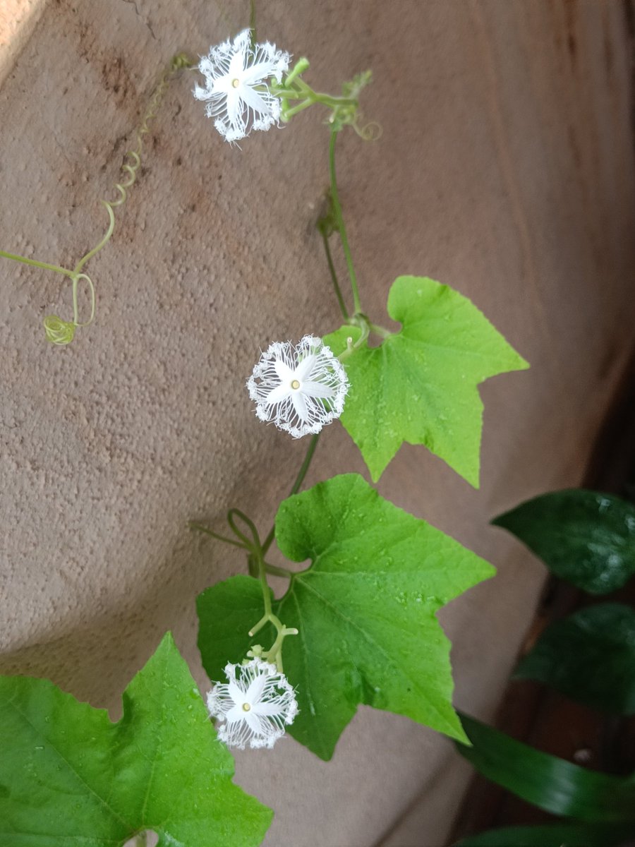 Bingo_mk's tweet image. Quote with random pics You took.