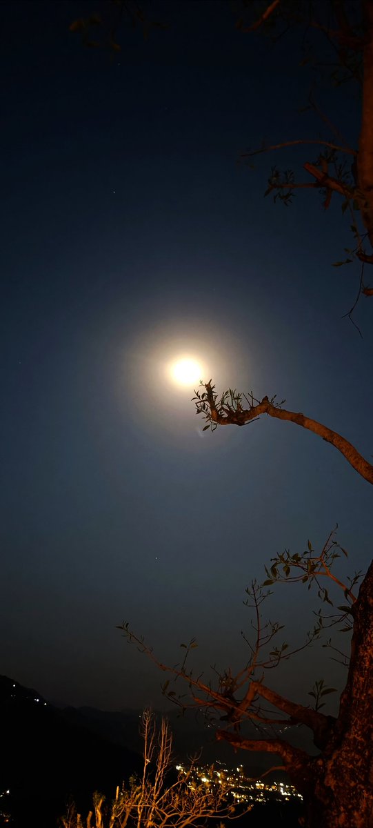 Bingo_mk's tweet image. Quote with random pics You took.