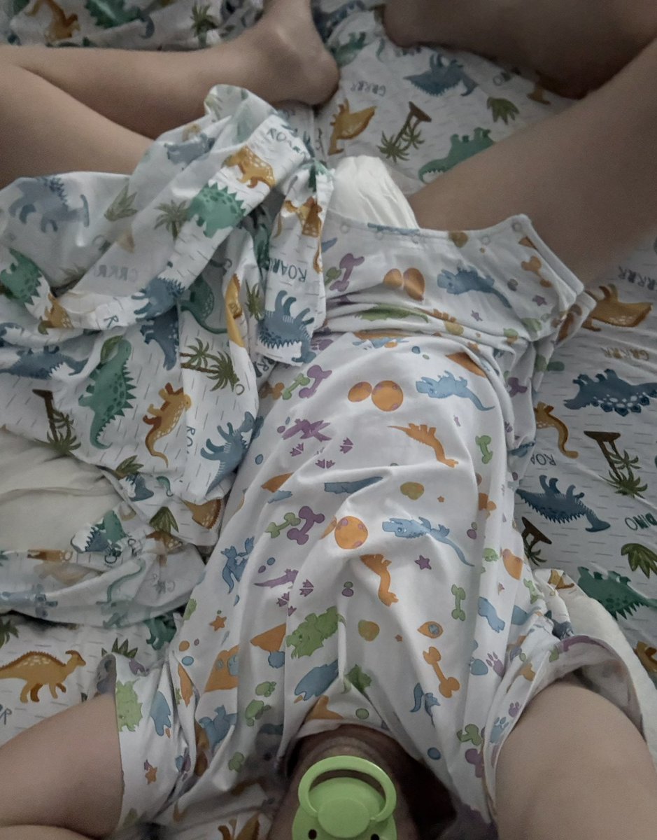Dino sheets rawwwrrr #gayabdl #adultbaby #diaperedpup #gaydl #padded247
