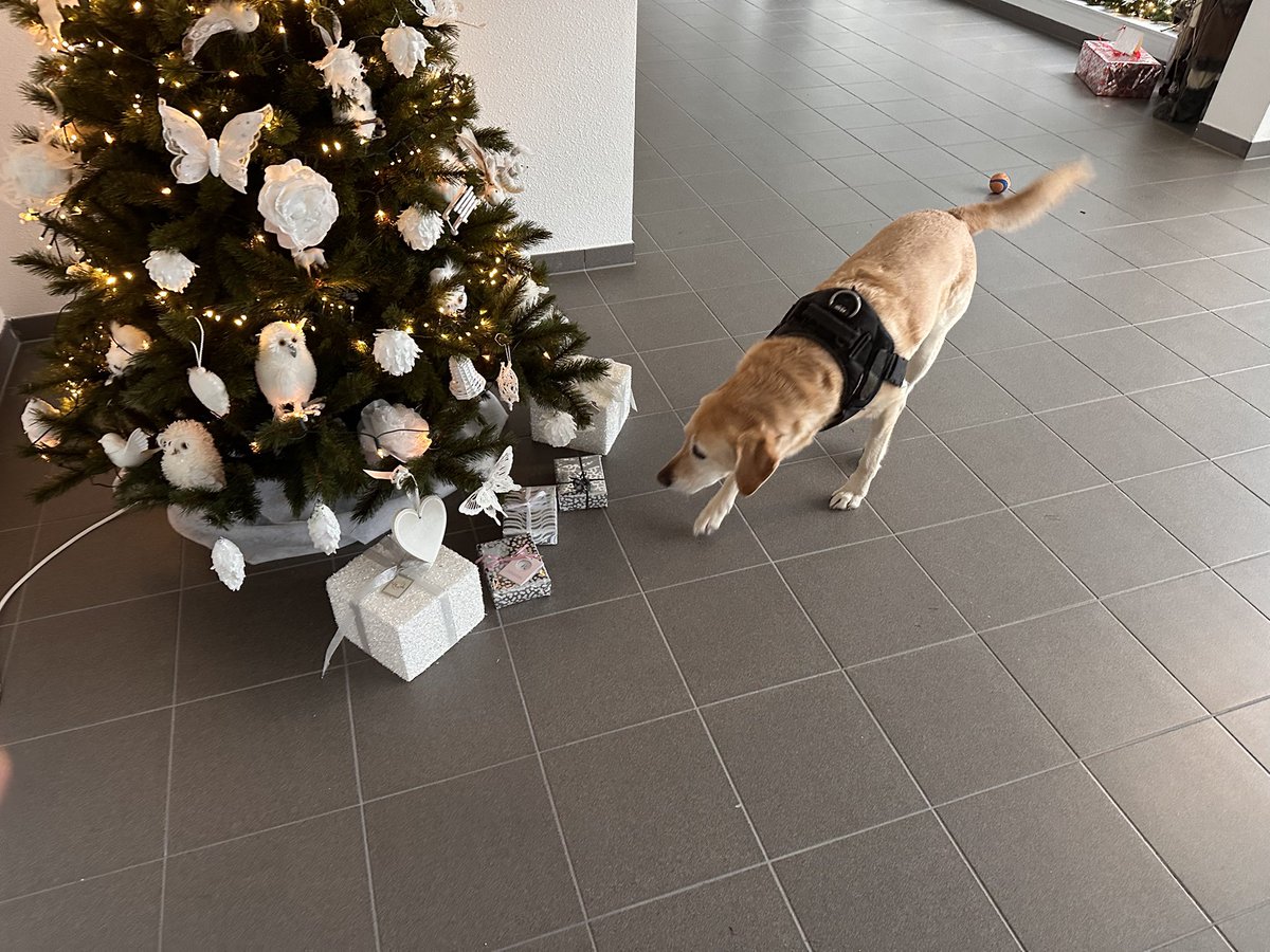 LabradorYuki's tweet image. Winter is coming, they already installed the indoor pee station.