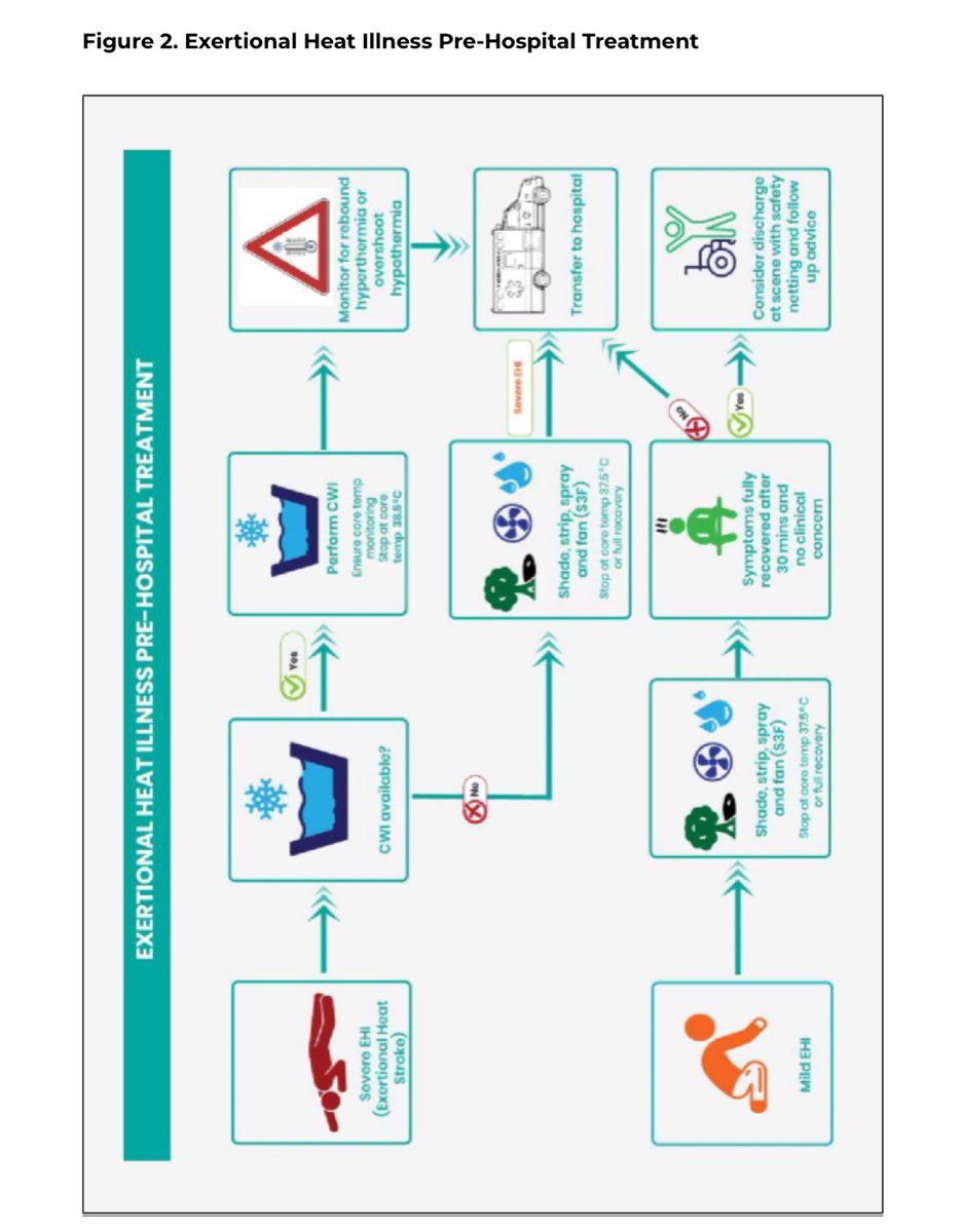 Thomas Fallon tweet media