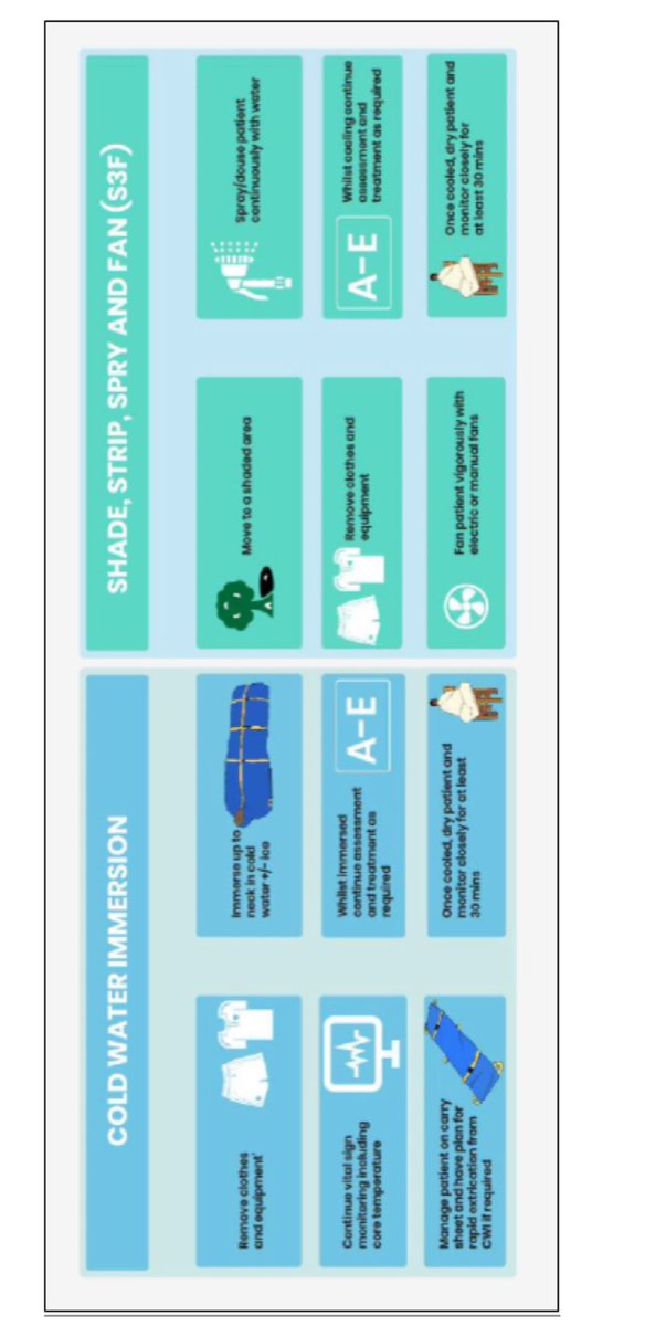 Thomas Fallon tweet media