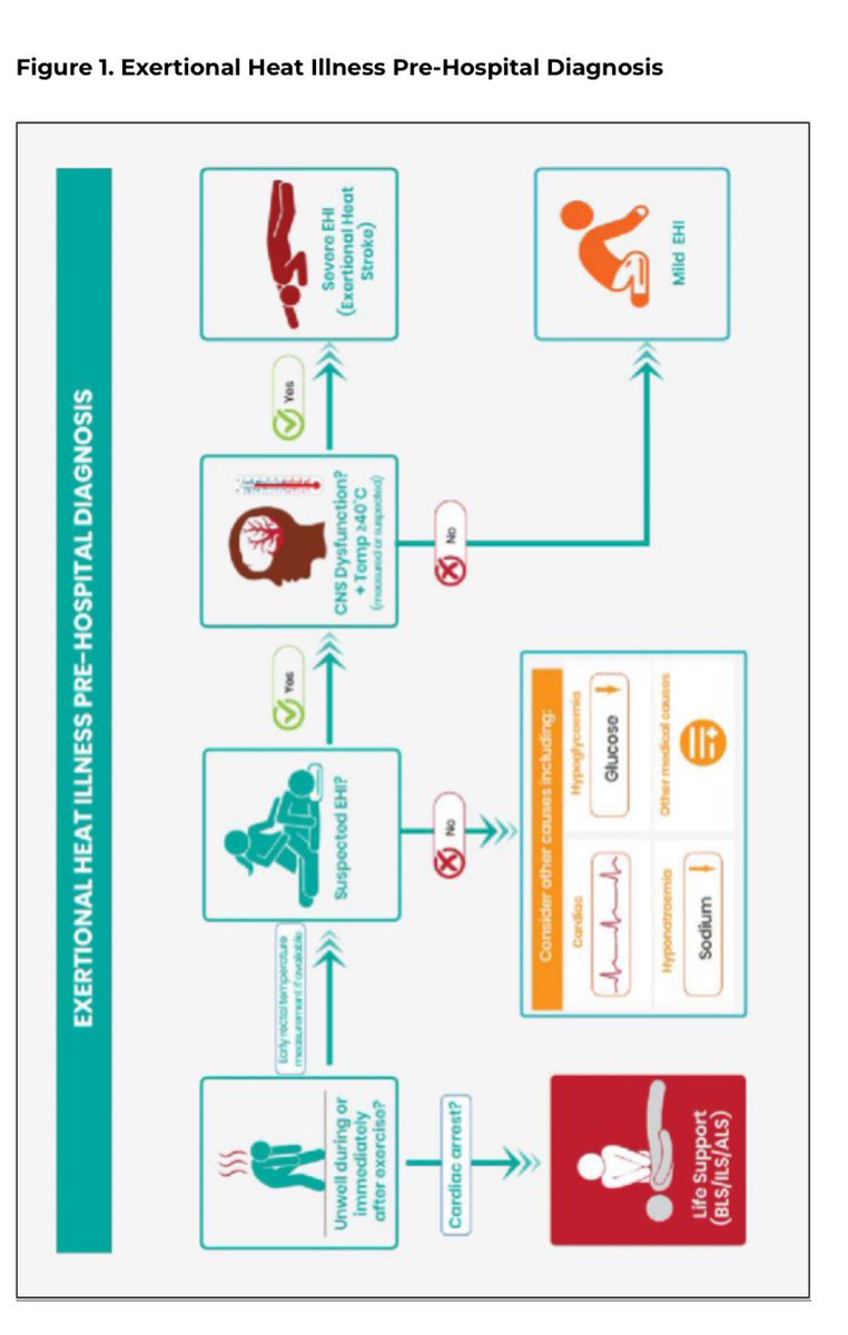 Thomas Fallon tweet media