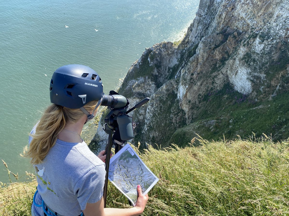 Come work with us! The RSPB’s Marine team are looking for 3 Conservation Scientists to work on a range of exciting #seabird research projects 🤩

Get in touch if you’d like to know more! Deadline: 3rd January

app.vacancy-filler.co.uk/salescrm/Caree… 🔗 

#seabirds #ornithology