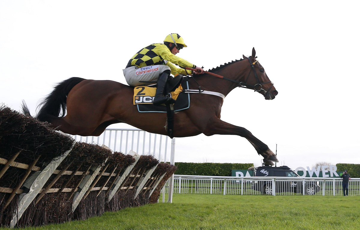 The Race Horse Guy tweet media