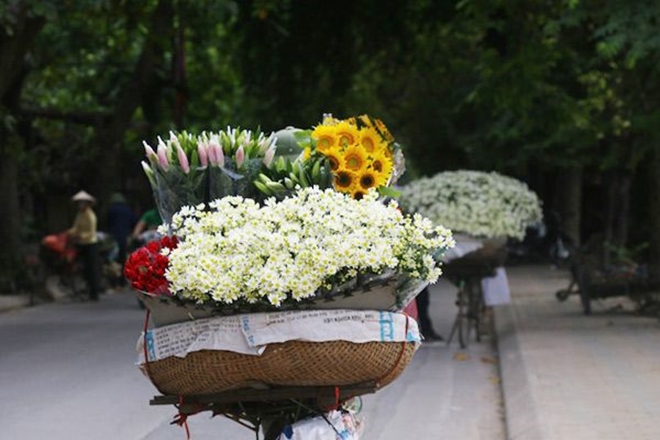 AWESOME_VN's tweet photo. Hà Nội, Early Winter - A Heartbroken Beauty https://t.co/t6O5ow4AaM