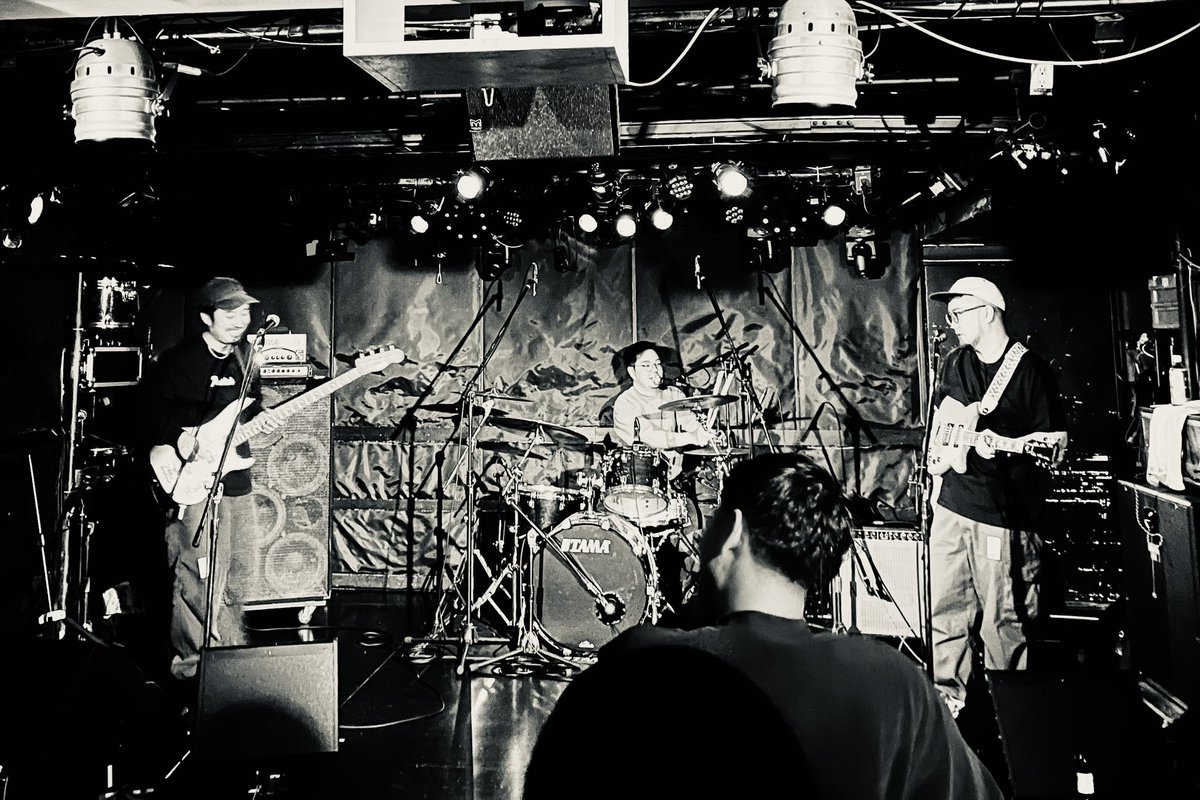 🦖🦖🦖
