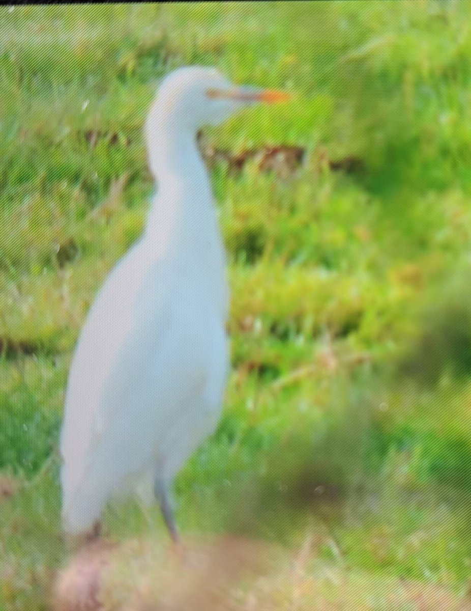 Stuart Hares tweet media